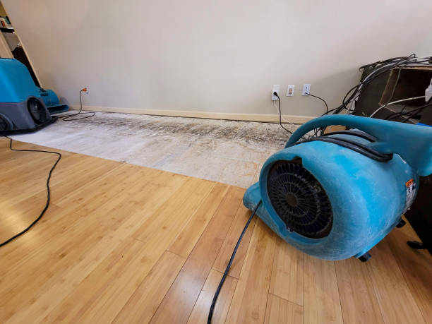 Professional Water Damage Repair technician working in Grand Rapids, OH